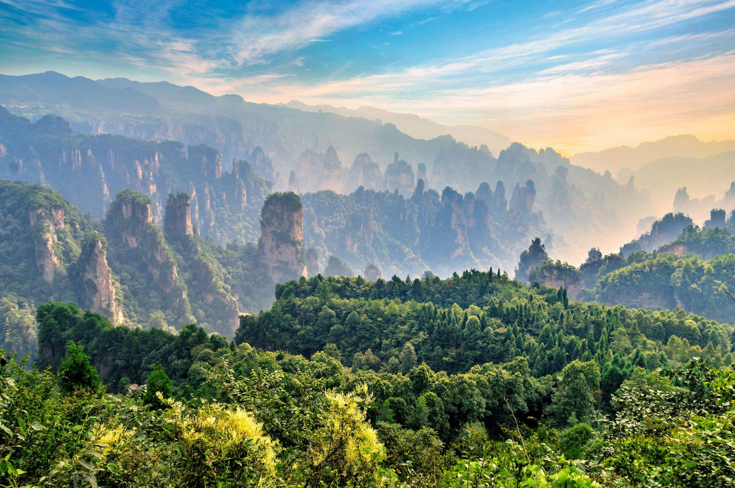 Traditional Chinese medicine and wellness treatments